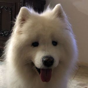 Meet your Posher, Bianca